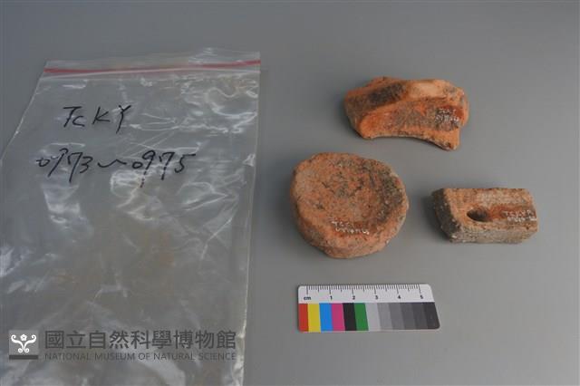 陶片藏品圖，第1張