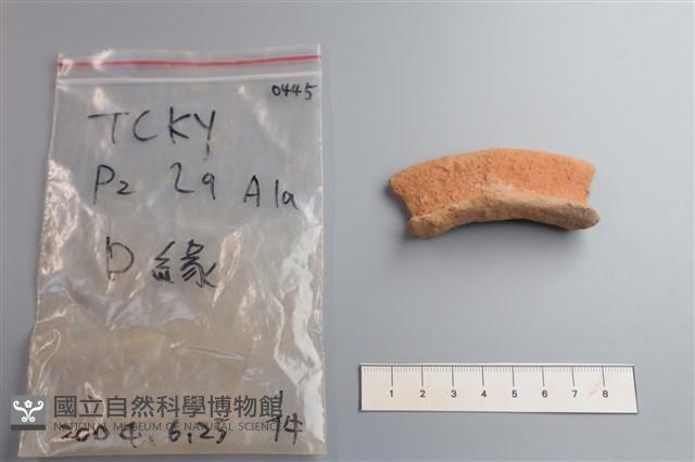 陶片藏品圖，第1張