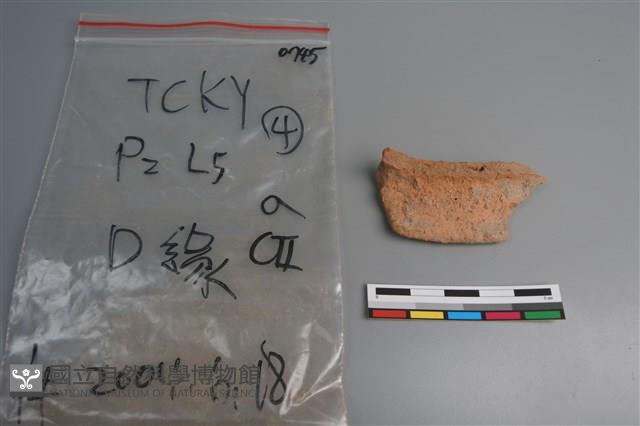 陶片藏品圖，第1張