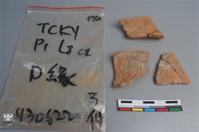 陶片藏品圖，第1張