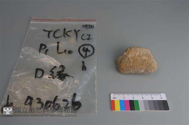 陶片藏品圖，第1張