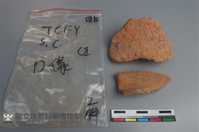 陶片藏品圖，第1張