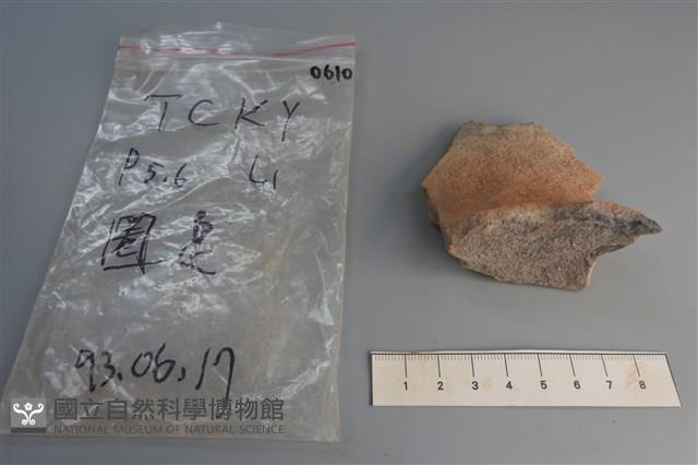 陶片藏品圖，第1張