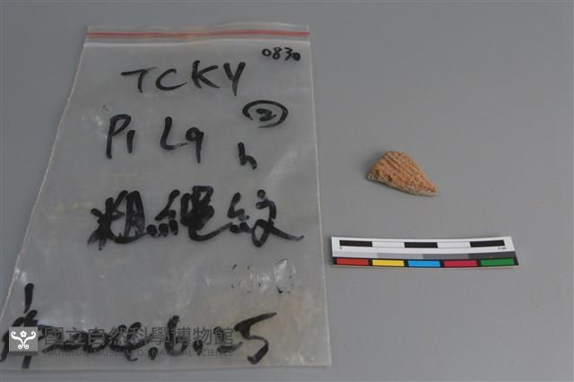 陶片藏品圖，第1張