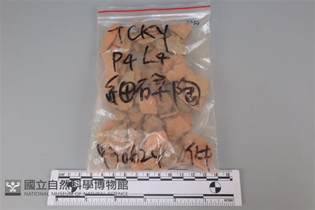 陶片藏品圖，第1張