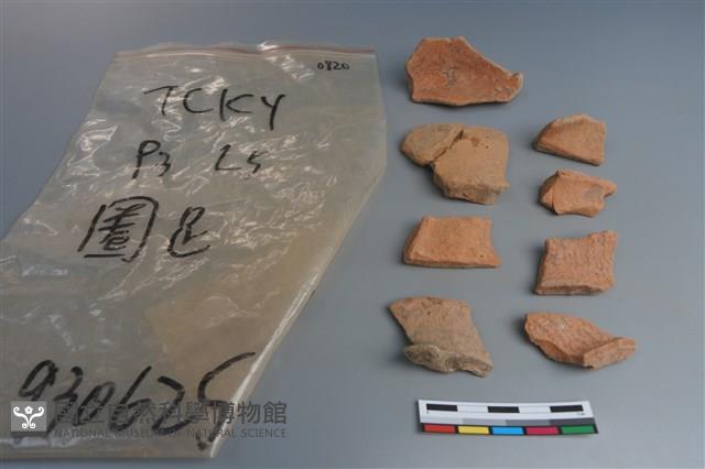 陶片藏品圖，第1張