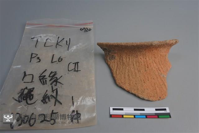 陶片藏品圖，第1張