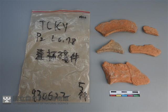 連杯形器藏品圖，第1張