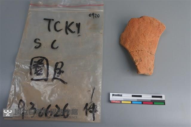 陶片藏品圖，第1張