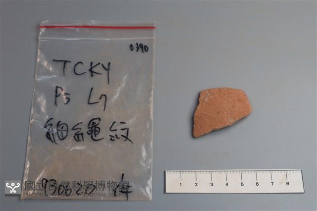 陶片藏品圖，第1張
