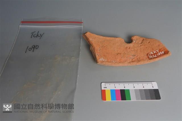 陶片藏品圖，第1張