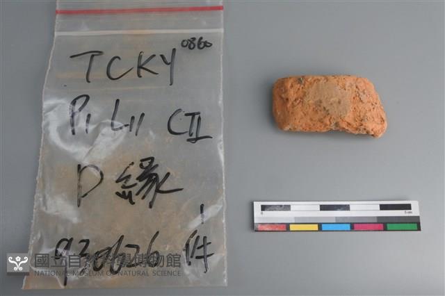 陶片藏品圖，第1張