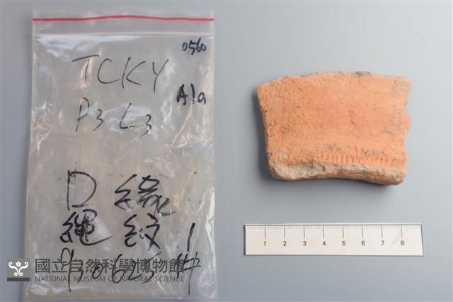 陶片藏品圖，第1張