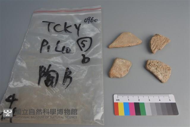 陶片藏品圖，第1張