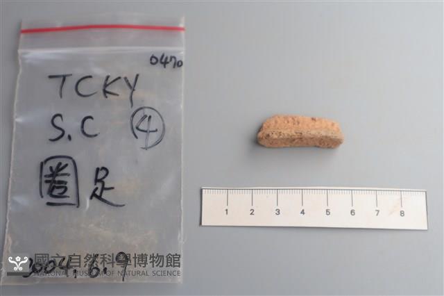 陶片藏品圖，第1張