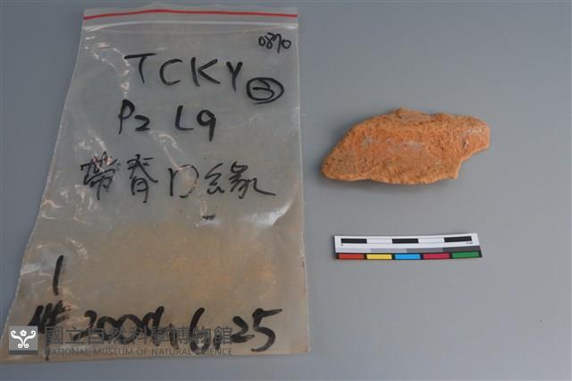 陶片藏品圖，第1張