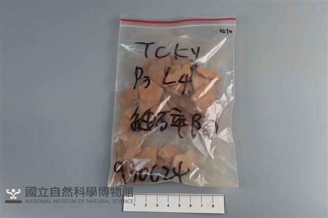 陶片藏品圖，第1張
