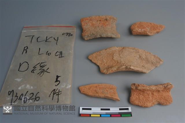 陶片藏品圖，第1張