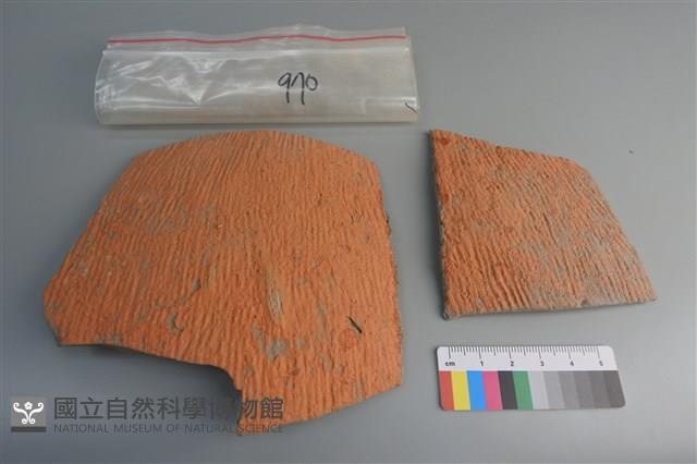 陶片藏品圖，第1張