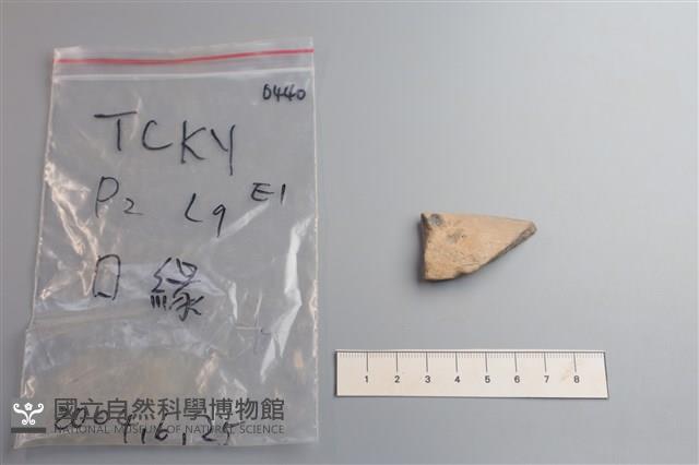 陶片藏品圖，第1張