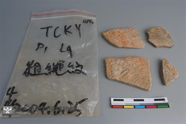 陶片藏品圖，第1張