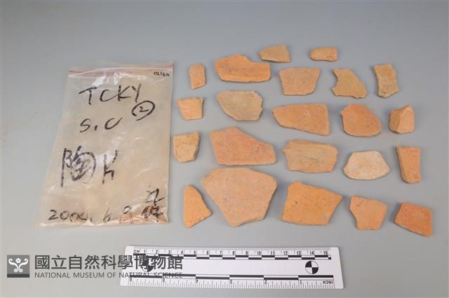 陶片藏品圖，第1張