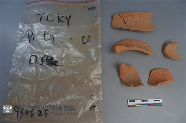 陶片藏品圖，第1張