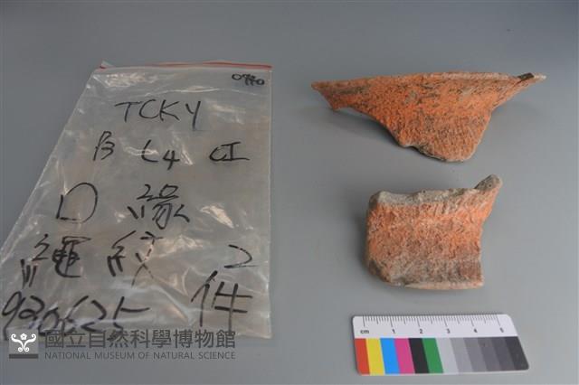 陶片藏品圖，第1張