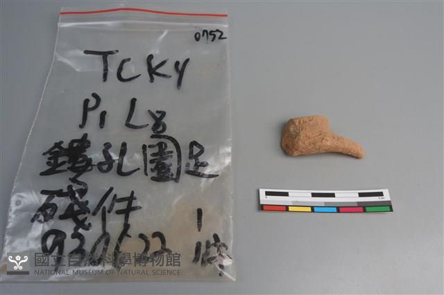 陶片藏品圖，第1張