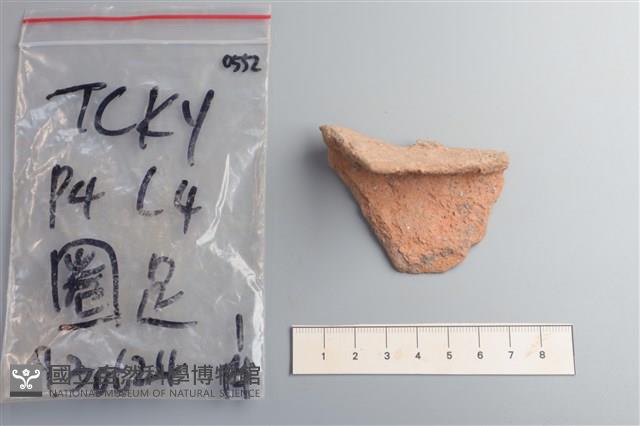 陶片藏品圖，第1張