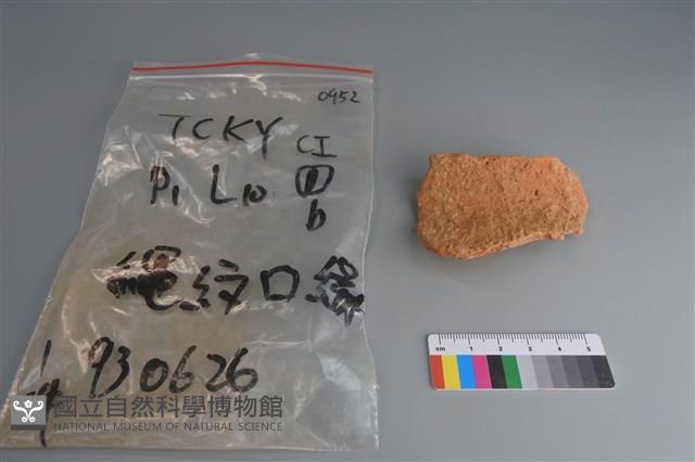 陶片藏品圖，第1張