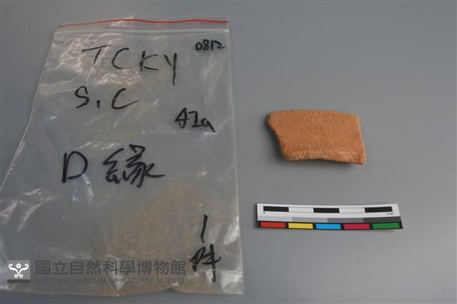 陶片藏品圖，第1張