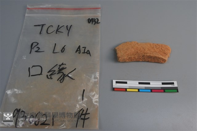 陶片藏品圖，第1張