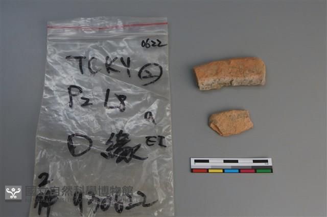 陶片藏品圖，第1張