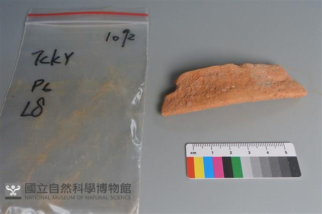 陶片藏品圖，第1張