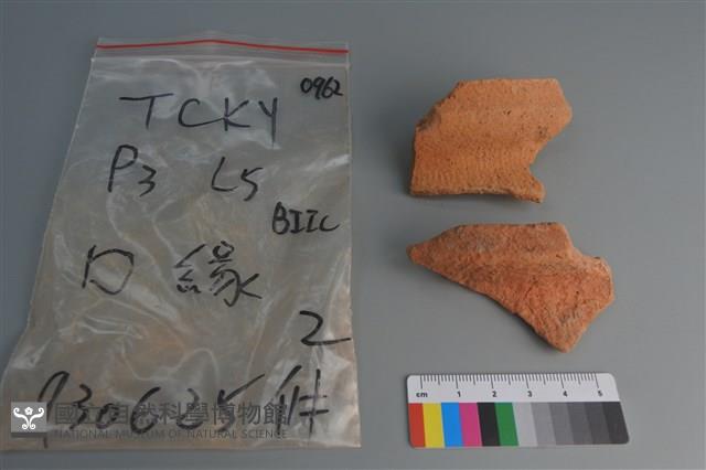 陶片藏品圖，第1張