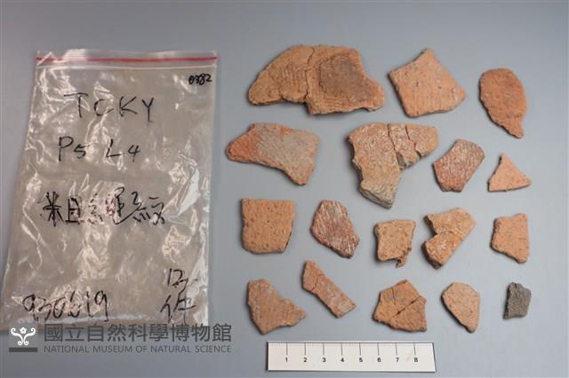 陶片藏品圖，第1張