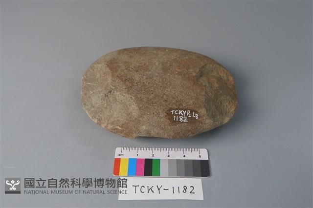 石胚藏品圖，第1張