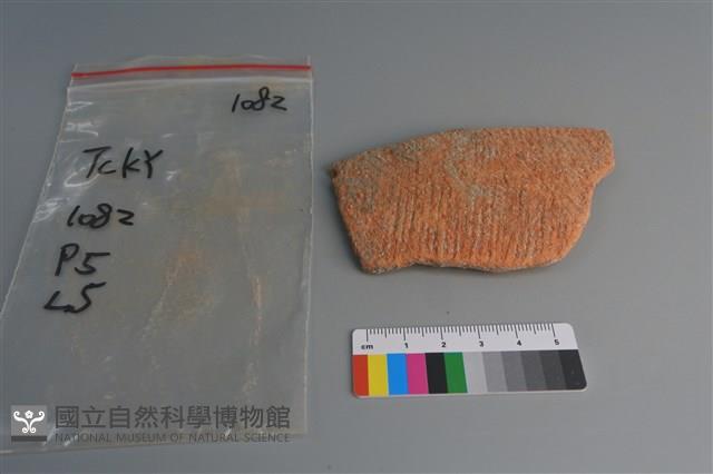 陶片藏品圖，第1張