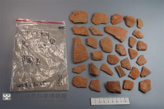 陶片藏品圖，第1張