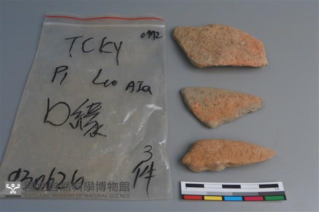 陶片藏品圖，第1張