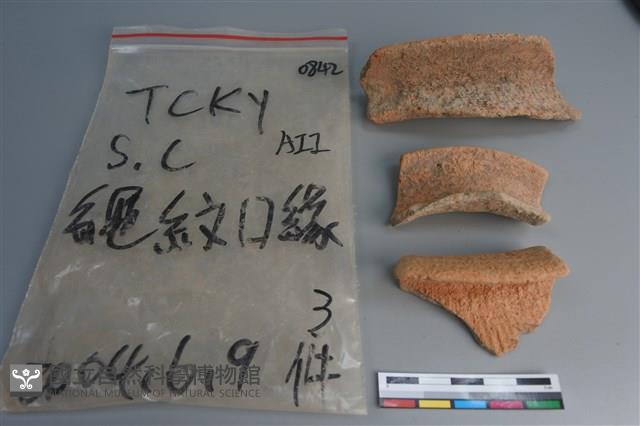 陶片藏品圖，第1張