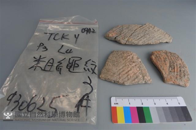 陶片藏品圖，第1張