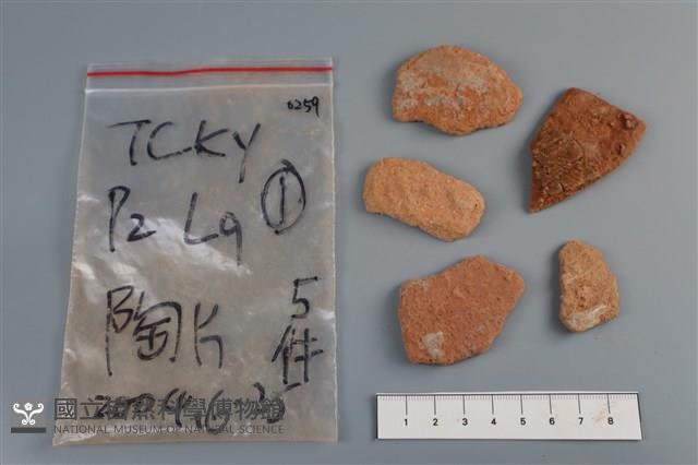 陶片藏品圖，第1張