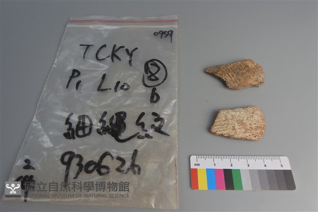 陶片藏品圖，第1張