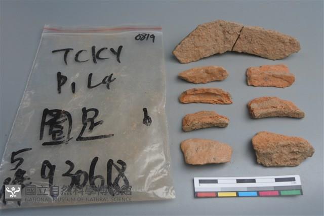 陶片藏品圖，第1張