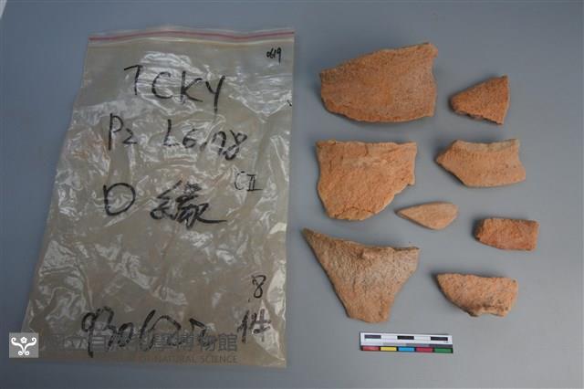 陶片藏品圖，第1張