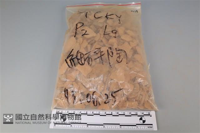 陶片藏品圖，第1張