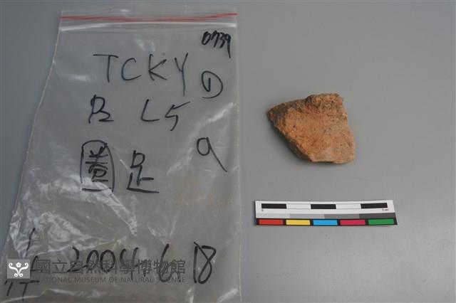 陶片藏品圖，第1張