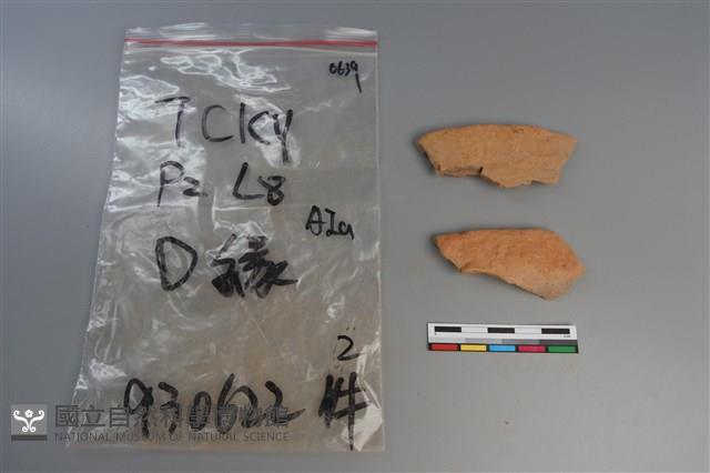 陶片藏品圖，第1張